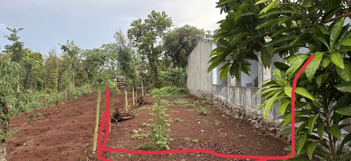 Bất động sản tại Đắk Lắk - ảnh 1