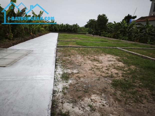 Bất động sản tại Hưng Yên - ảnh 1