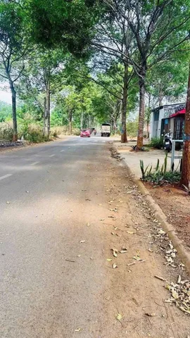 Bất động sản tại Đắk Lắk - ảnh 1