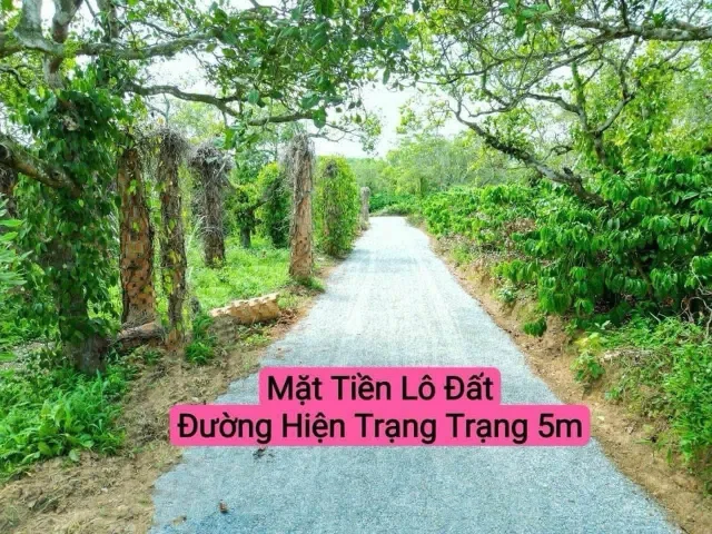 Bất động sản tại Đắk Lắk - ảnh 1