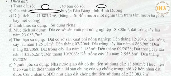 Bất động sản tại Bình Dương - ảnh 1