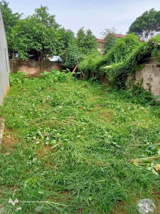 Bất động sản tại Lạng Sơn - ảnh 1