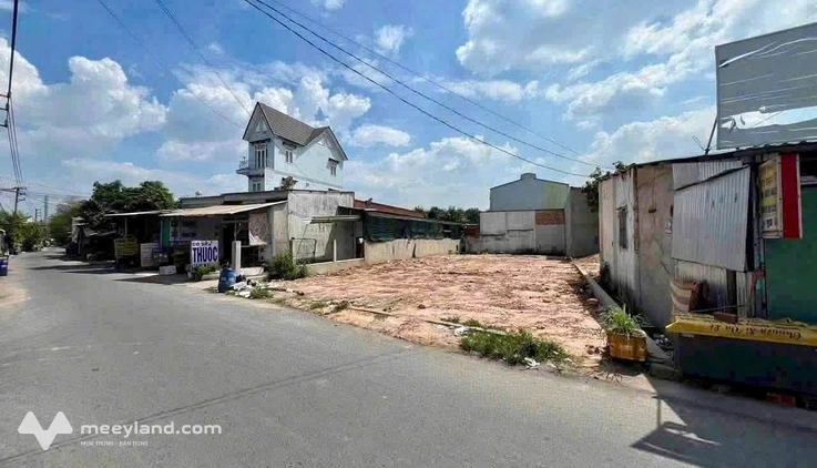 Bất động sản tại Bình Dương - ảnh 1