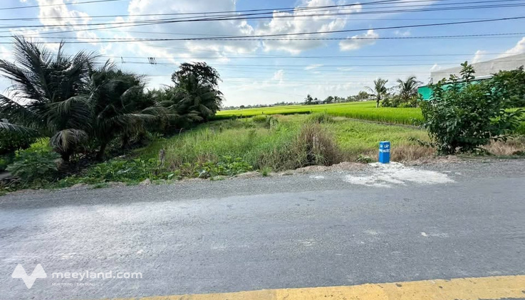 Bất động sản tại Long An - ảnh 1