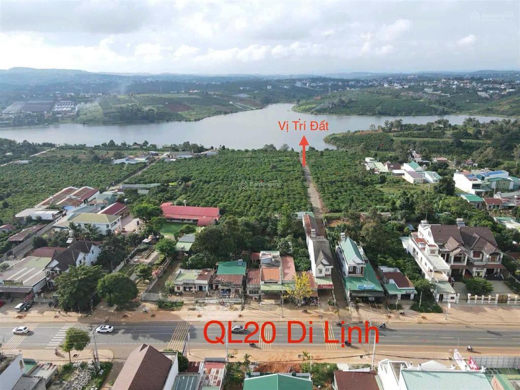 Bất động sản tại Lâm Đồng - ảnh 1