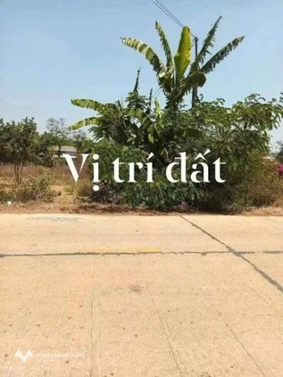 Bất động sản tại Đắk Lắk - ảnh 1