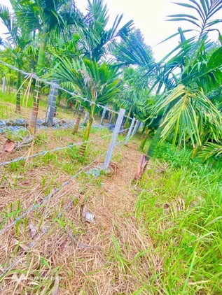 Bất động sản tại Đắk Lắk - ảnh 1