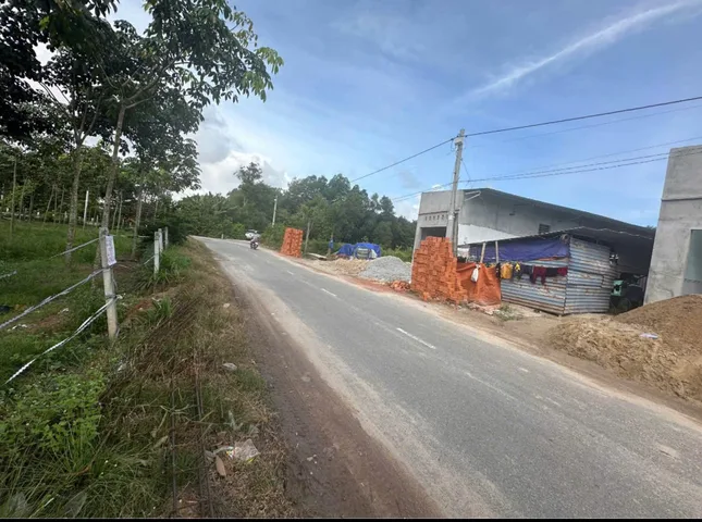 Bất động sản tại Bình Dương - ảnh 1