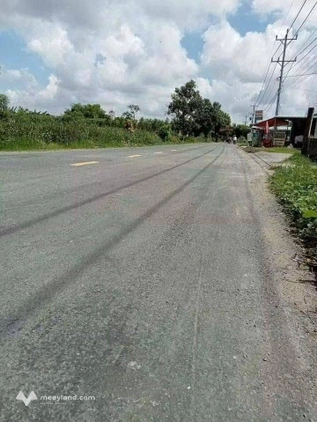 Bất động sản tại Tiền Giang - ảnh 1