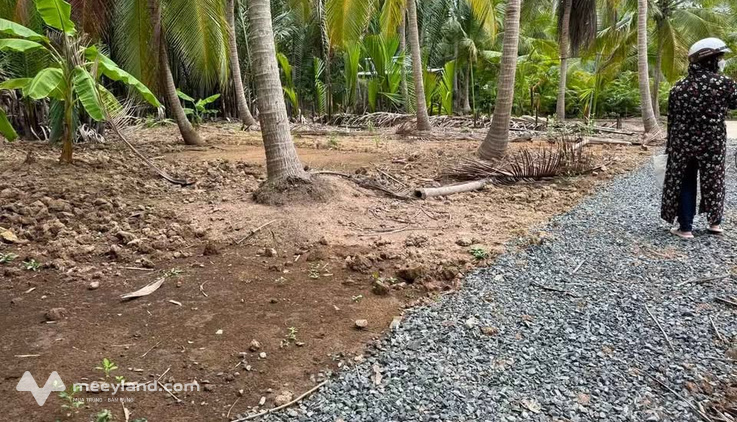 Bất động sản tại Bến Tre - ảnh 1