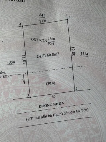 Bất động sản tại Bình Dương - ảnh 1