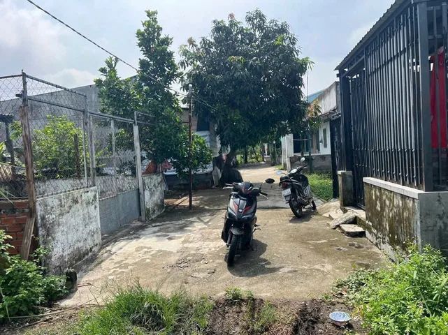 Bất động sản tại Long An - ảnh 1
