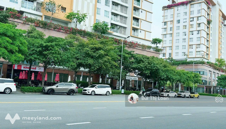 Bất động sản tại TP. Hồ Chí Minh - ảnh 1