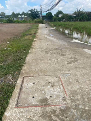 Bất động sản tại Long An - ảnh 1