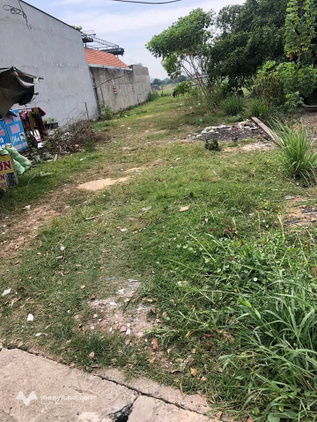 Bất động sản tại Long An - ảnh 1