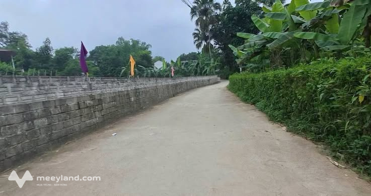 Bất động sản tại Tuyên Quang - ảnh 1