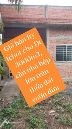 Bất động sản tại Bến Tre - ảnh 1