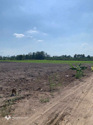 Bất động sản tại An Giang - ảnh 1