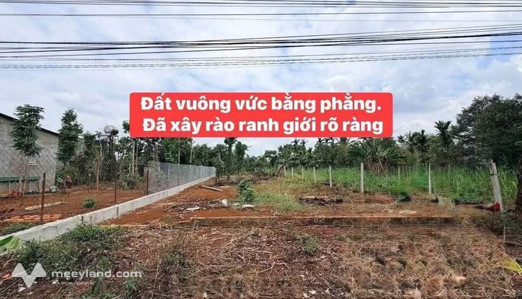 Bất động sản tại Đắk Lắk - ảnh 1