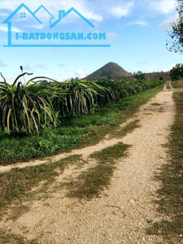 Bất động sản tại Bình Thuận - ảnh 1
