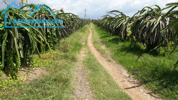 Bất động sản tại Bình Thuận - ảnh 1