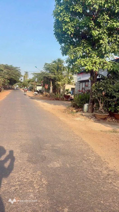 Bất động sản tại Đắk Lắk - ảnh 1