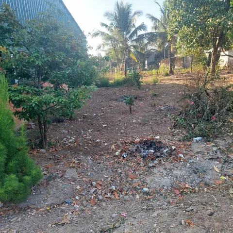 Bất động sản tại Đắk Lắk - ảnh 1