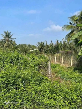 Bất động sản tại Long An - ảnh 1