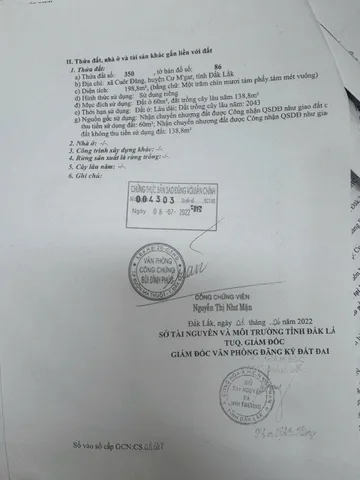 Bất động sản tại Đắk Lắk - ảnh 1