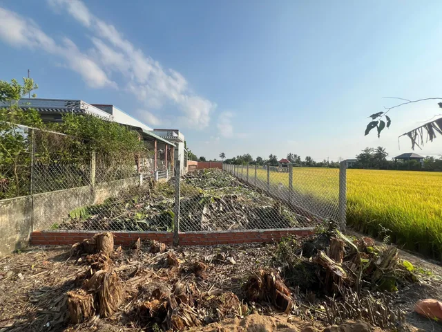 Bất động sản tại Long An - ảnh 1