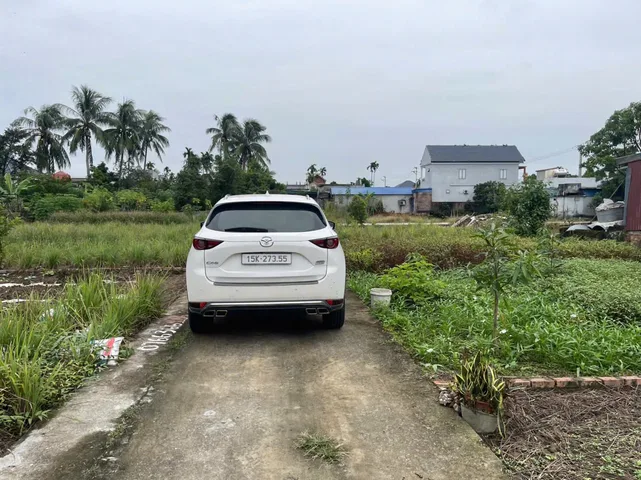 Bất động sản tại Hải Phòng - ảnh 1