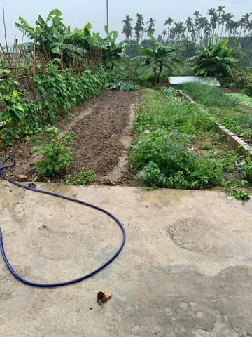 Bất động sản tại Hải Phòng - ảnh 1