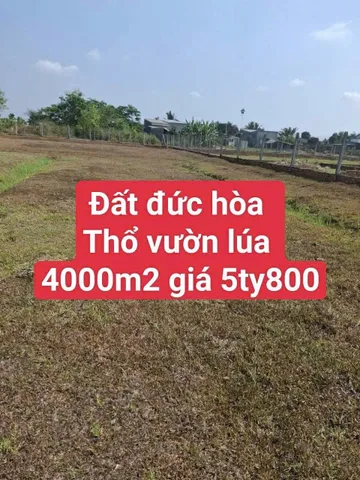 Bất động sản tại Long An - ảnh 1