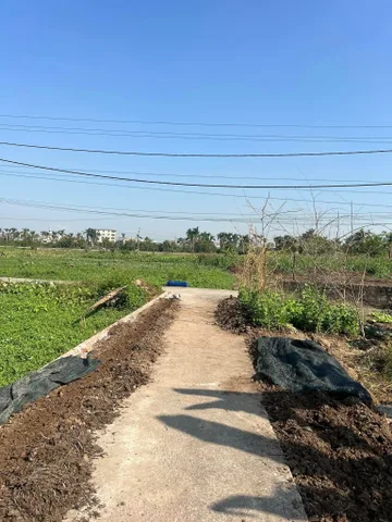 Bất động sản tại Hải Phòng - ảnh 1