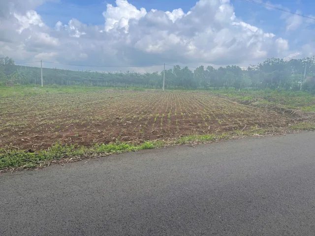 Bất động sản tại Bà Rịa - Vũng Tàu - ảnh 1