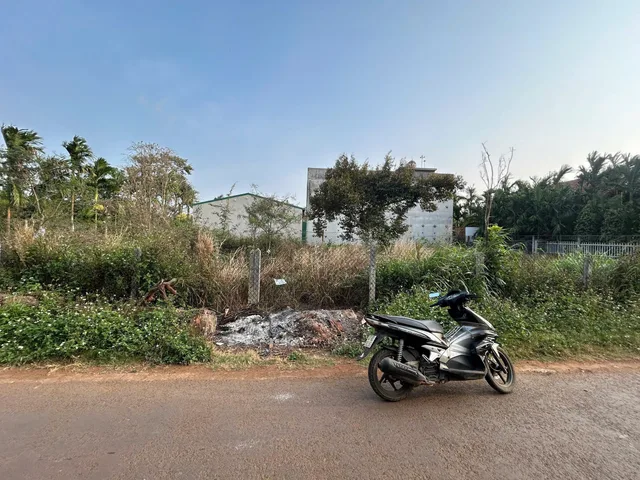 Bất động sản tại Đắk Lắk - ảnh 1