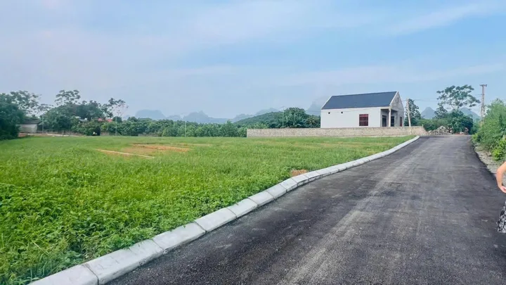 Bất động sản tại Phú Thọ - ảnh 1
