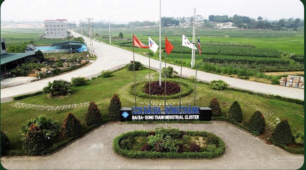 Bất động sản tại Phú Thọ - ảnh 1