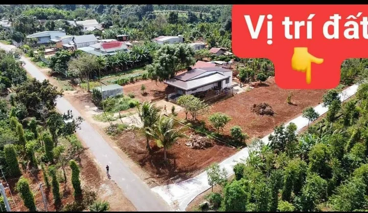 Bất động sản tại Đắk Lắk - ảnh 1