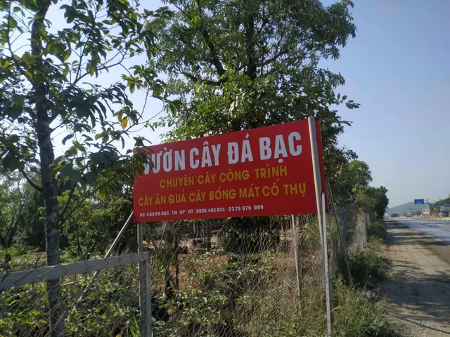 Bất động sản tại Hải Phòng - ảnh 1