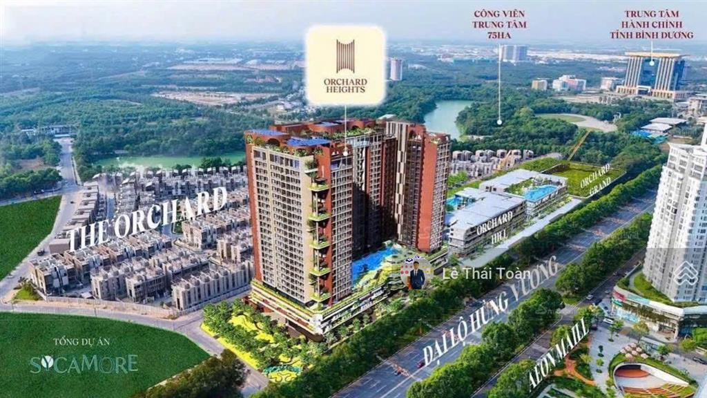 Bất động sản tại Bình Dương - ảnh 1
