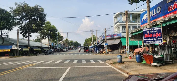 Bất động sản tại Bình Dương - ảnh 1