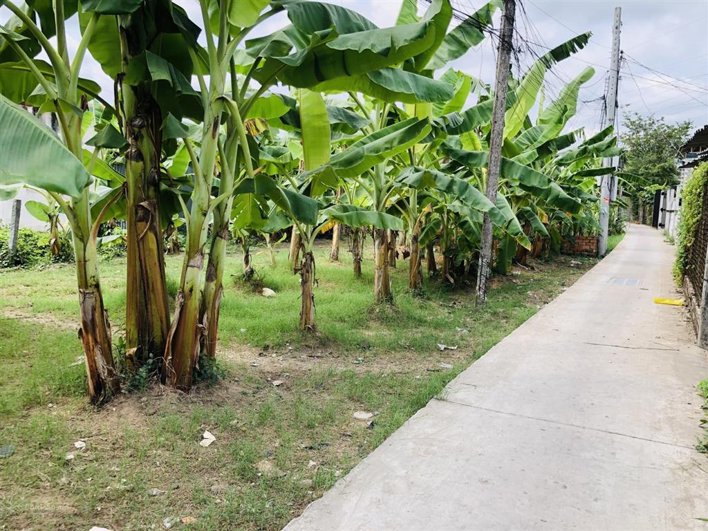 Bất động sản tại Tiền Giang - ảnh 1