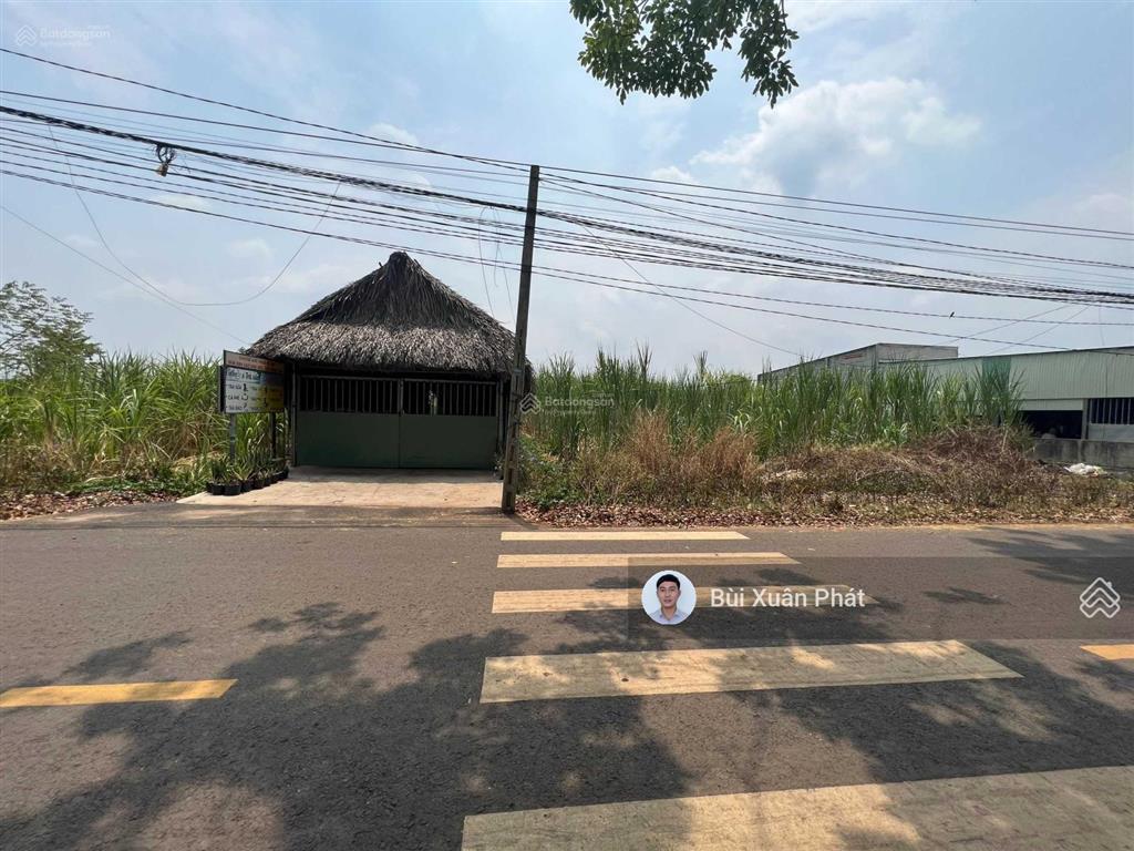 Bất động sản tại Bình Phước - ảnh 1
