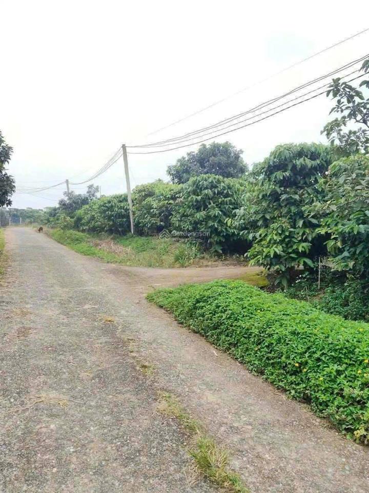 Bất động sản tại Lâm Đồng - ảnh 1