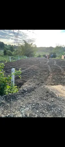 Bất động sản tại Đắk Lắk - ảnh 1