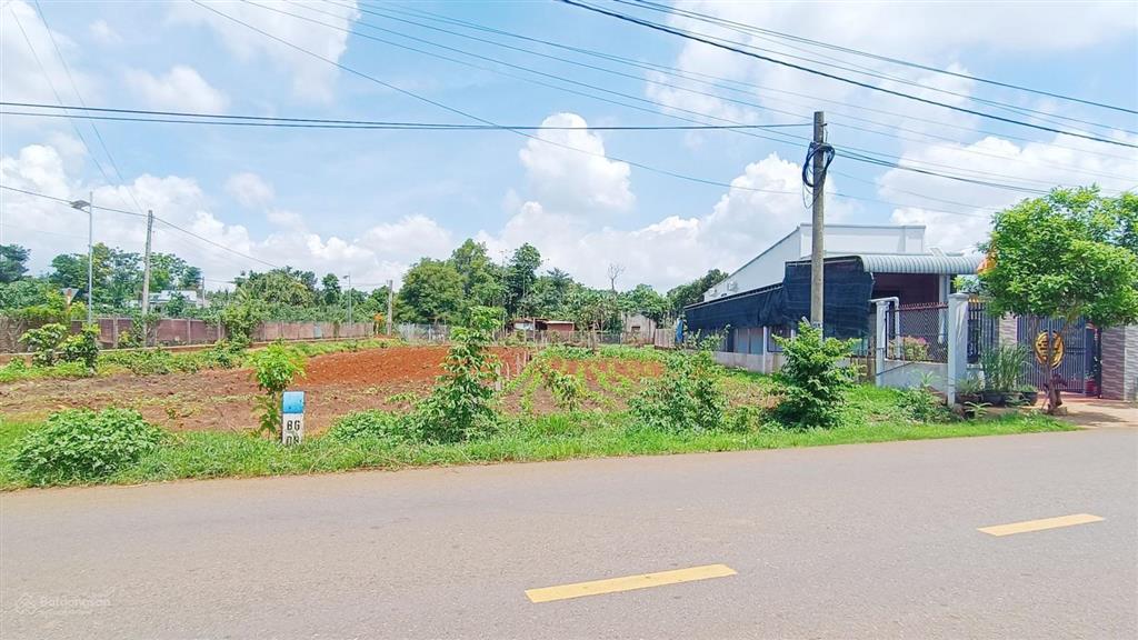 Bất động sản tại Bà Rịa - Vũng Tàu - ảnh 1