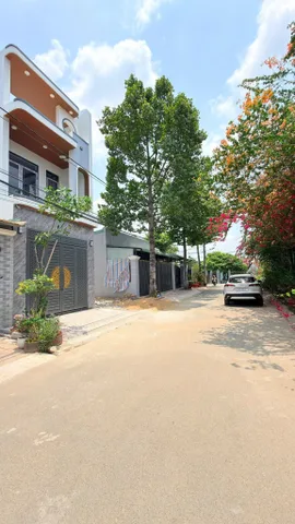 Bất động sản tại Bình Dương - ảnh 1