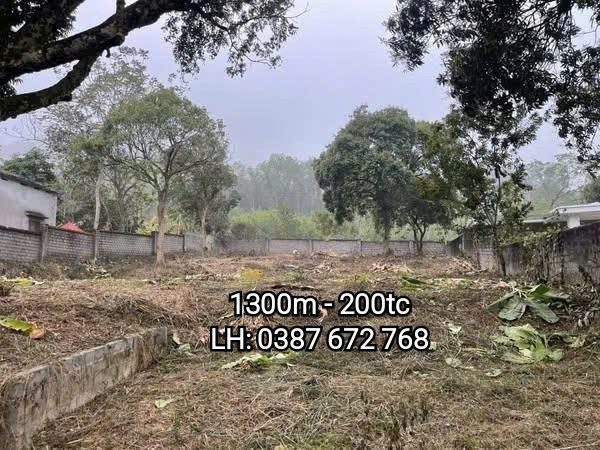 Bất động sản tại Phú Thọ - ảnh 1