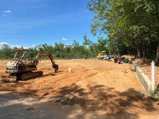 Bất động sản tại Bình Dương - ảnh 1